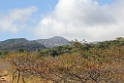 CostaRica2014 183 Vulkan Rincon NP