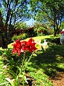 CostaRica2014 212 Arco Iris Lodge CostaRica2014 212 Arco Iris Lodge