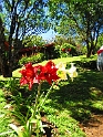 CostaRica2014 212 Arco Iris Lodge