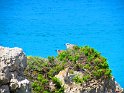 Menorca 67 PlayaParc Menorca 67 PlayaParc