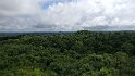 Mittelamerika 296 Guatemala Tikal