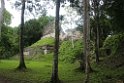 Mittelamerika 301 Guatemala Tikal