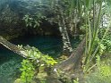 Mittelamerika 404 Tulum Grand Cenote
