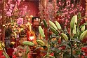 Vietnam Kambodscha2015 021 Ngoc Son Tempel Hanoi