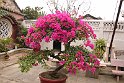Vietnam Kambodscha2015 250 in Hoi An