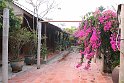 Vietnam Kambodscha2015 326 im Mekong-Delta Homestay