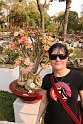 Vietnam Kambodscha2015 347 Tetfest in Saigon