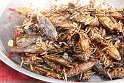 Vietnam Kambodscha2015 446 nach Battambang