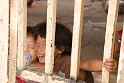 Vietnam Kambodscha2015 450 nach Battambang