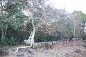 Vietnam Kambodscha2015 511 in Phnom Bakheng