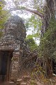 Vietnam Kambodscha2015 534 Ta Prohm