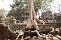 Vietnam Kambodscha2015 537 Ta Prohm