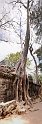 Vietnam Kambodscha2015 539 Ta Prohm