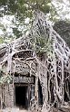 Vietnam Kambodscha2015 541 Ta Prohm