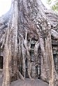 Vietnam Kambodscha2015 542 Ta Prohm