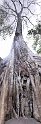 Vietnam Kambodscha2015 543 Ta Prohm