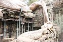 Vietnam Kambodscha2015 544 Ta Prohm