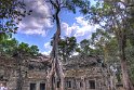 Vietnam Kambodscha2015 545 Ta Prohm