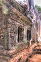 Vietnam Kambodscha2015 546 Ta Prohm