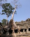 Vietnam Kambodscha2015 566 Ta Som