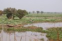 Vietnam Kambodscha2015 616 auf dem Weg zum Tonle Sap-See