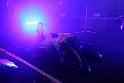 Kirlian Camera 17