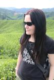 Malaysia 094 CameronHighlands Malaysia 094 CameronHighlands