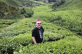 Malaysia 106 1CameronHighlands Malaysia 106 1CameronHighlands