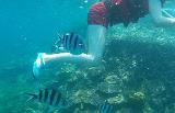 Malaysia 284 Perhentians Snorkeling Malaysia 284 Perhentians Snorkeling