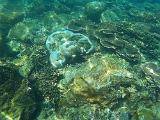 Malaysia 286 Perhentians Snorkeling Malaysia 286 Perhentians Snorkeling