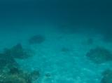Malaysia 300 Perhentians Snorkeling Malaysia 300 Perhentians Snorkeling
