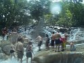 Jamaika2017 045 OchoRios DunnsRiverFalls