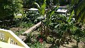 Jamaika2017 092 PortAntonio