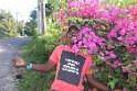 Jamaika2017 096 PortAntonio