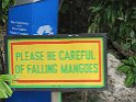 Jamaika2017 155 Kingston BobMarleyMuseum