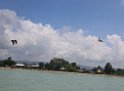 Jamaika2017 179 TreasureBeach Black River Safari