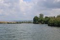 Jamaika2017 186 TreasureBeach Black River Safari