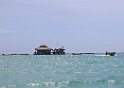Jamaika2017 192 TreasureBeach Floyd's Pelican Bar