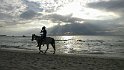 Jamaika2017 248 Negril Rootsbamboo Beach