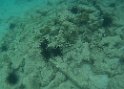 Jamaika2017 265 Negril Booby Cay