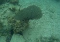Jamaika2017 266 Negril Booby Cay