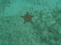 Jamaika2017 268 Negril Booby Cay