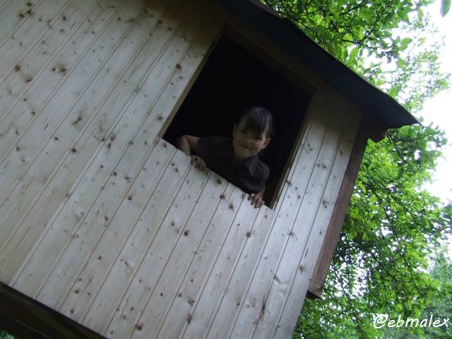 waldhaus7_01 